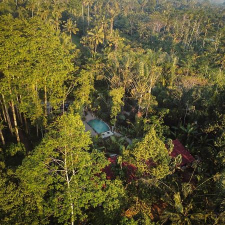 Daydream Lodge Tampaksiring Exterior photo