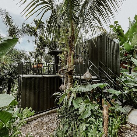 Daydream Lodge Tampaksiring Exterior photo