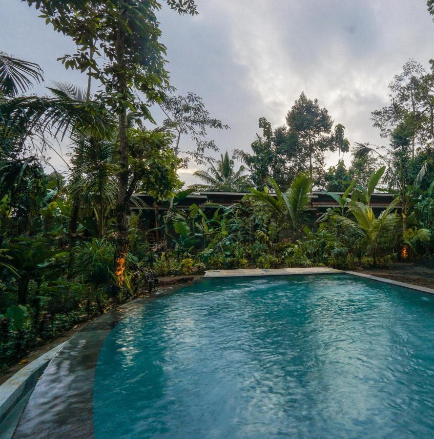 Daydream Lodge Tampaksiring Exterior photo