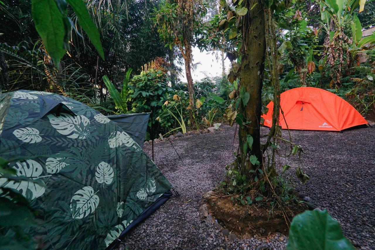 Daydream Lodge Tampaksiring Exterior photo