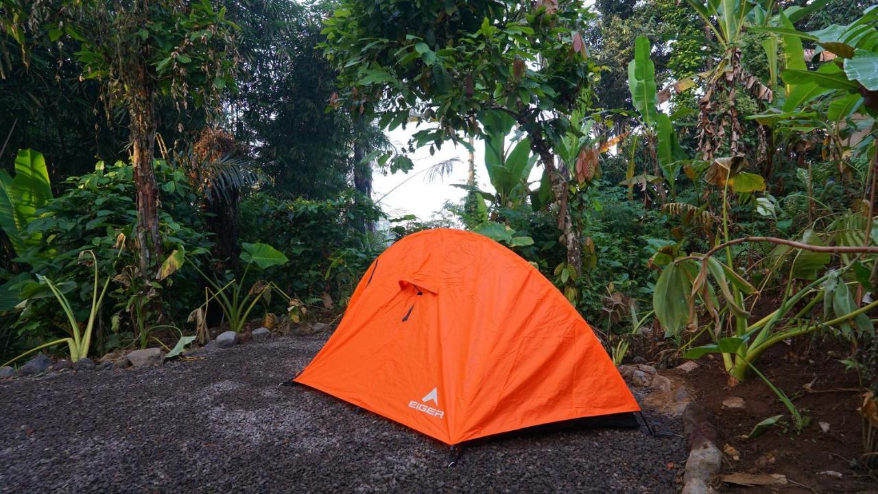 Daydream Lodge Tampaksiring Exterior photo