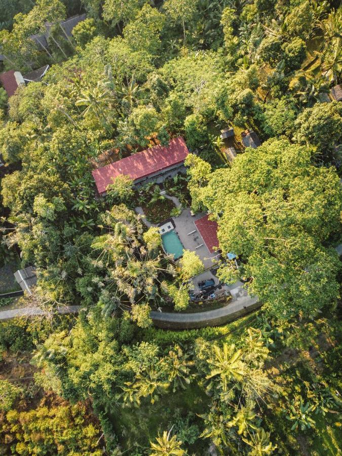 Daydream Lodge Tampaksiring Exterior photo
