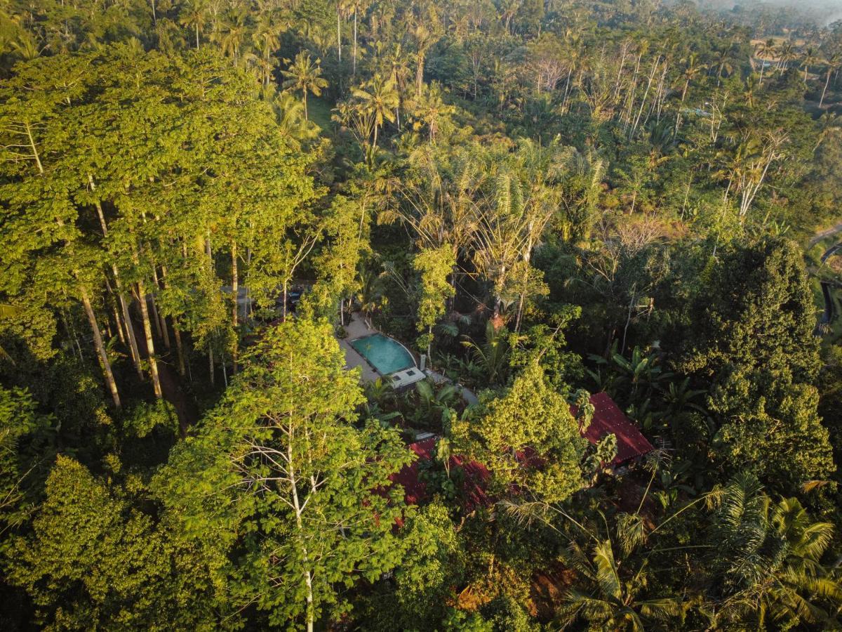 Daydream Lodge Tampaksiring Exterior photo