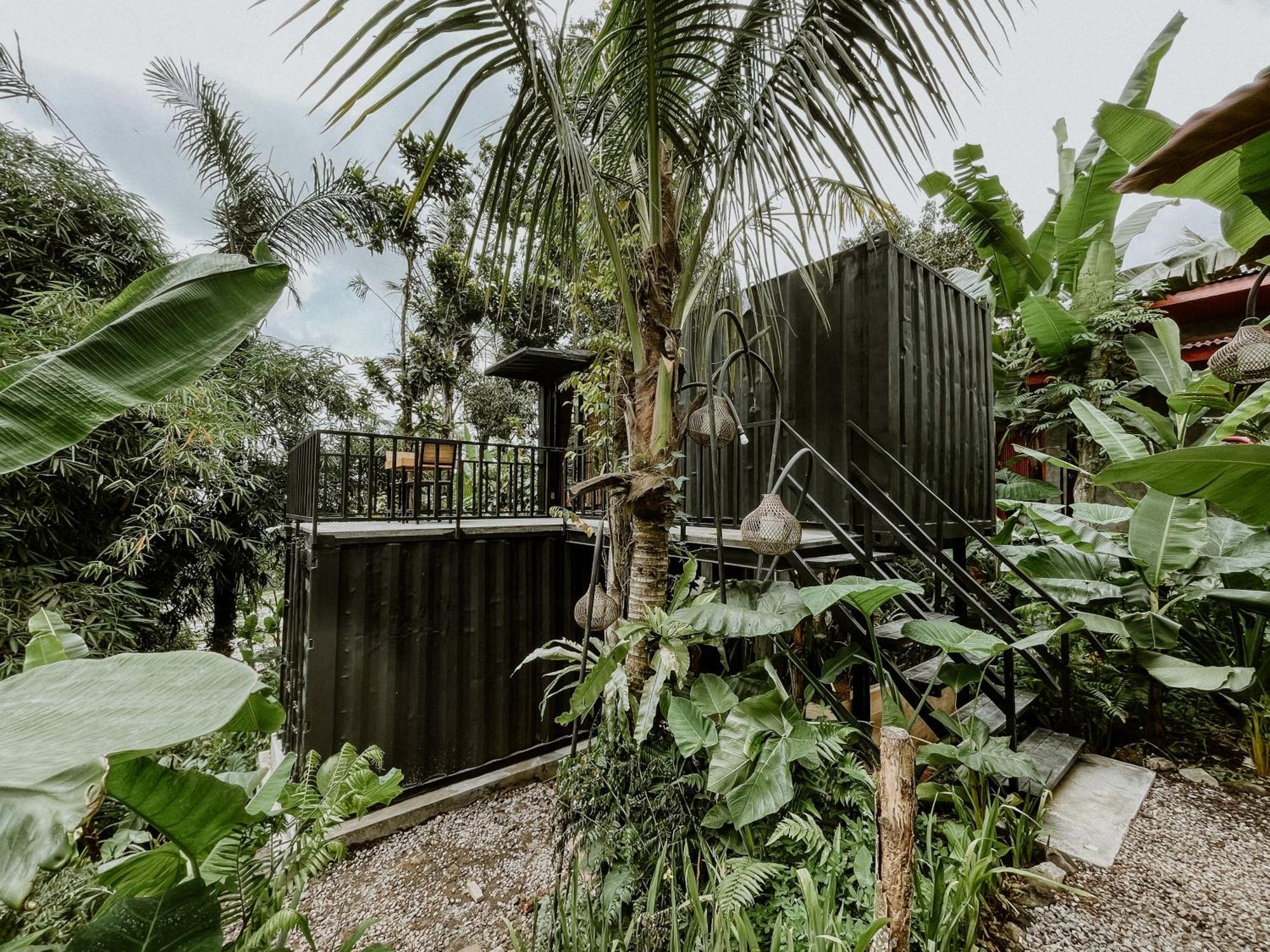 Daydream Lodge Tampaksiring Exterior photo