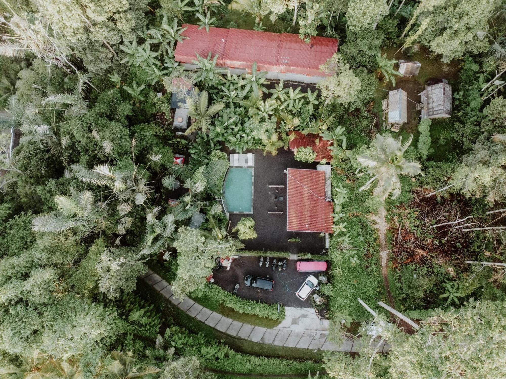 Daydream Lodge Tampaksiring Exterior photo
